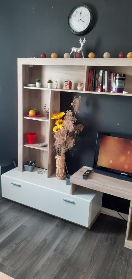 Apartman Mici Ni Buitenkant foto